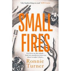 Small Fires: This year's most unsettling, hypnotic contemporary gothic thriller