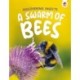 Discovering Insects: A Swarm of Bees