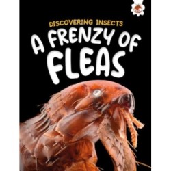Discovering Insects: A Frenzy of Fleas