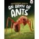 Discovering Insects: An Army of Ants