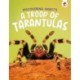 Discovering Insects: A Troop of Tarantulas