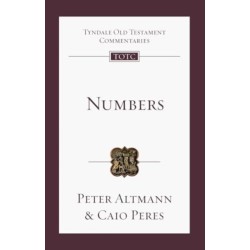 Numbers: An Introduction and Commentary