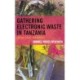 Gathering Electronic Waste in Tanzania: Labor, Value, and Toxicity