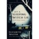 Let a Sleeping Witch Lie: Welsh Gothic Stories by Elizabeth Walter