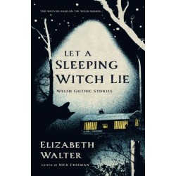 Let a Sleeping Witch Lie: Welsh Gothic Stories by Elizabeth Walter