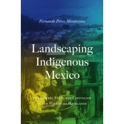 Landscaping Indigenous Mexico: The Liberal State and Capitalism in the Purepecha Highlands