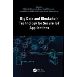 Big Data and Blockchain Technology for Secure IoT Applications