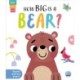 How Big is a Bear?