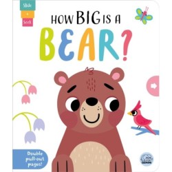 How Big is a Bear?