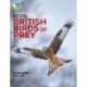 RSPB British Birds of Prey