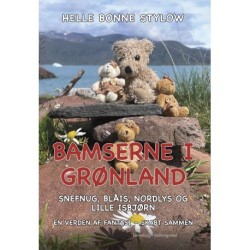 Bamserne i Grønland. Snefnug, Blåis, Nordlys og lille Isbjørn: En verden af fantasi – skabt sammen