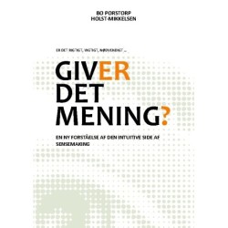 Giver det mening?: En ny forståelse af den intuitive side af sensemaking