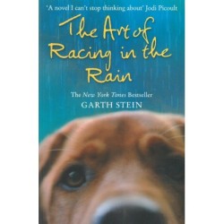 The Art of Racing in the Rain