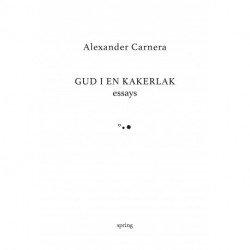 Gud i en kakerlak: essays - [RODEKASSE/DEFEKT]