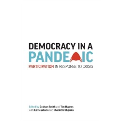 AI for Everyone?: Participation in Response to Crisis