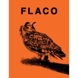 FLACO: The Owl Who Escaped Captivity and Won the Hearts of the World