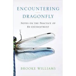Encountering Dragonfly: Notes on the Re-enchantment of the World