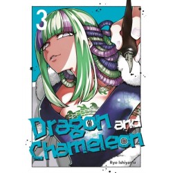 Dragon and Chameleon 03