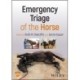 Emergency Triage of the Horse