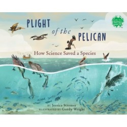 Plight of the Pelican: How Science Saved a Species