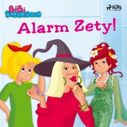 Bibi Blocksberg – Alarm-Zety!