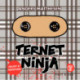 Ternet Ninja