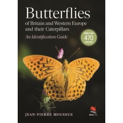 Butterflies of Britain and Western Europe and Their Caterpillars: An Identification Guide