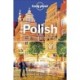 Polish Phrasebook & Dictionary