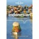 Indonesian Phrasebook & Dictionary