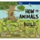 How Animals Build