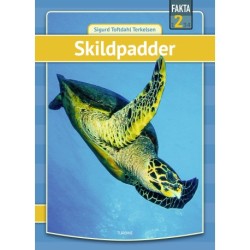 Skildpadder