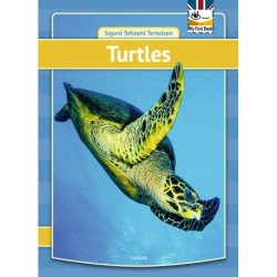 Turtles
