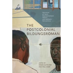 The Postcolonial Bildungsroman: Narratives of Youth, Representational Politics, and Aesthetic Reinventions