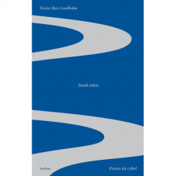 Stræk tiden: essays på cykel