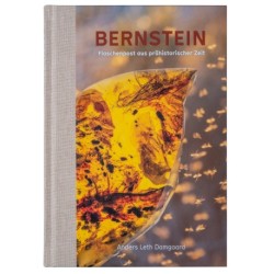 BERNSTEIN - Flaschenpost aus prähistorischer Zeit