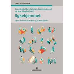 Sykehjemmet : hjem, helseinstitusjon og arbeidsplass
