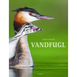 Vandfugl