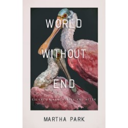 World Without End: Essays on Apocalypse and After