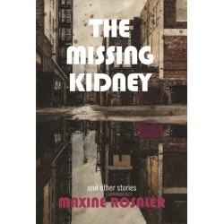 The Fogman and Other Stories: And Other Stories