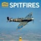 Imperial War Museums: Spitfires Wall Calendar 2026 (Art Calendar)