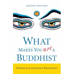 What Makes You Not a Buddhist