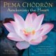 Pema Chodron 2026 Wall Calendar: Awakening the Heart—A Year of Inspiring Quotes