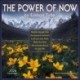 The Power of Now 2026 Wall Calendar: A Year of Inspirational Quotes