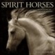 Spirit Horses 2026 Wall Calendar by Tony Stromberg