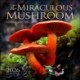 The Miraculous Mushroom 2026 Wall Calendar: With Fabulous Fungi Facts