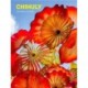 Chihuly 12-Month 2026 Weekly/Monthly Planner Calendar