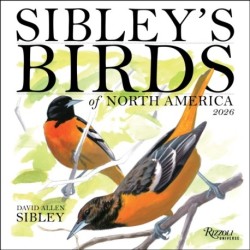 Sibley's Birds of North America 2026 Wall Calendar