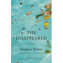 The Disappeared: Stories