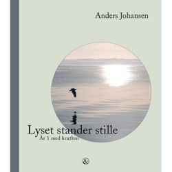Lyset stander stille: År 1 med kræften