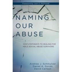 Naming Our Abuse: God's Pathways to Healing for Male Sexual Abuse Survivors